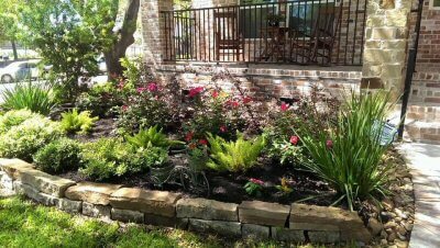 Houston Lawn Care and Landscaping Maintenance Services